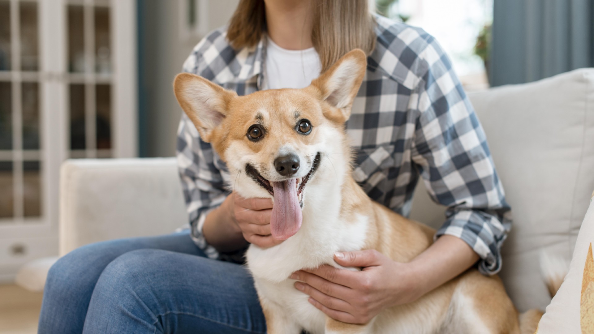 Animal Clinic East Tour Vet Clinic In Walla Walla, WA 99362