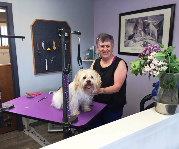 Pet Grooming Center Service Image