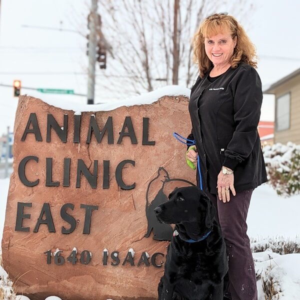 Veterinarian in Empire, CA