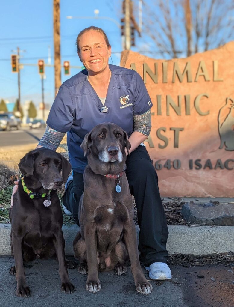 Senior Pets Animal Clinic East