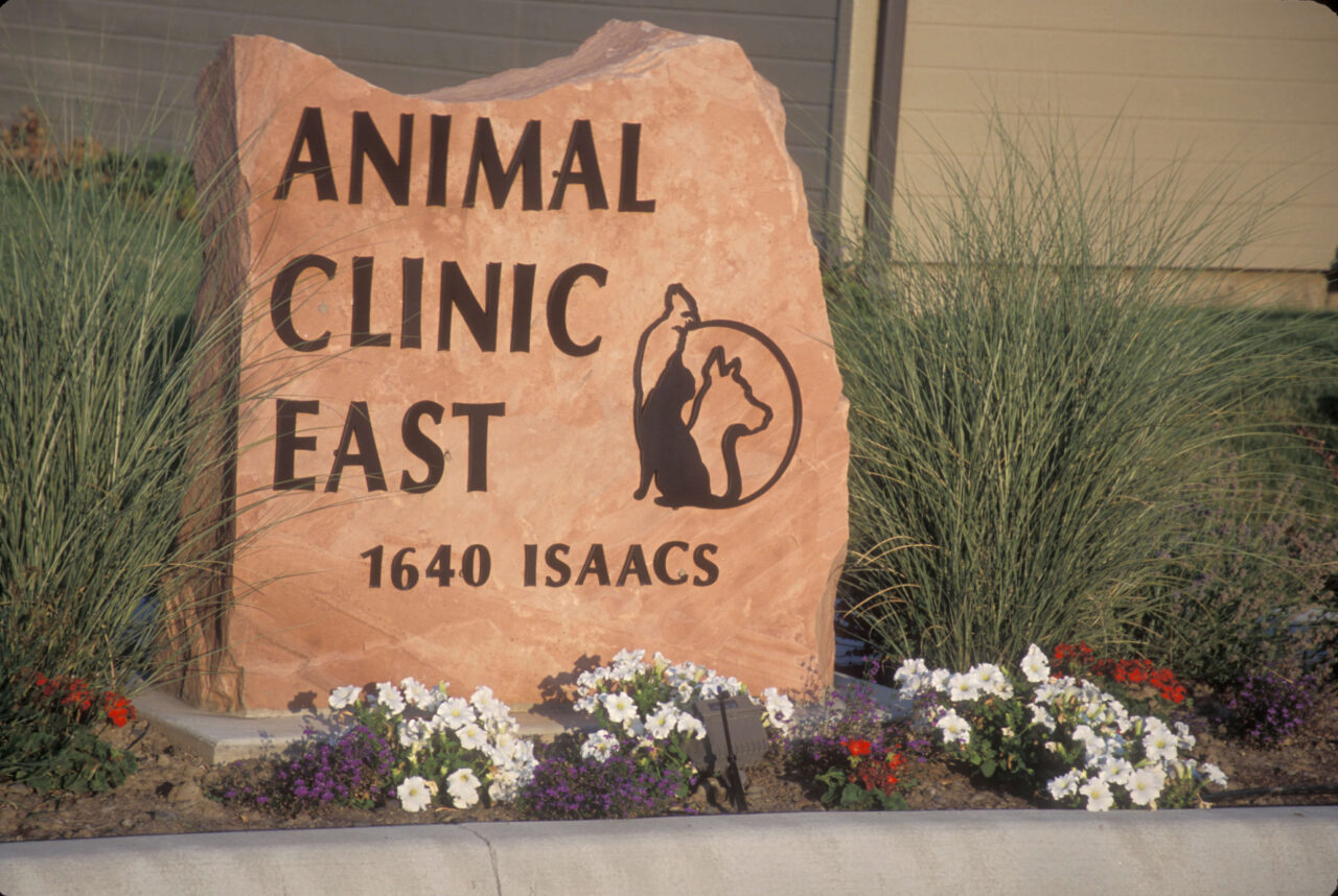Animal Clinic East Tour Vet Clinic In Walla Walla, WA 99362