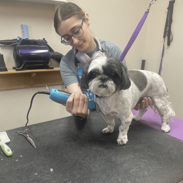 Pet-Grooming-Center